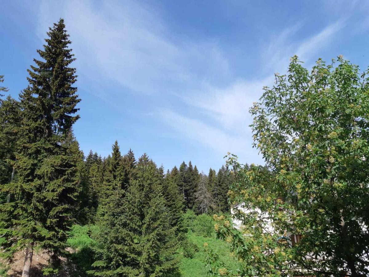 Apartments Sipcic Žabljak Buitenkant foto